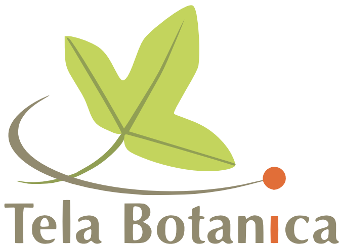 TELA BOTANICA